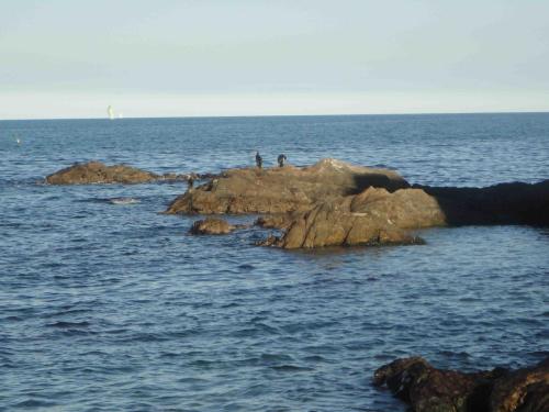 Traces by Gilles Dalbis