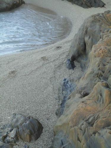 Traces by Gilles Dalbis