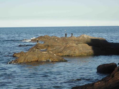 Traces by Gilles Dalbis