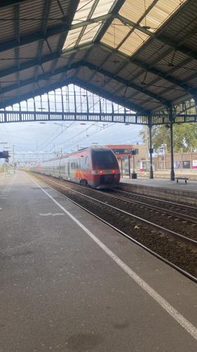 Traces by Gilles Dalbis