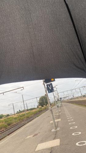 Traces by Gilles Dalbis