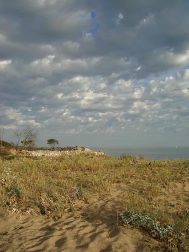 Traces by Gilles Dalbis