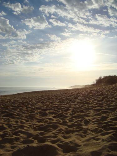 Traces by Gilles Dalbis