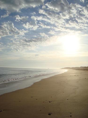 Traces by Gilles Dalbis