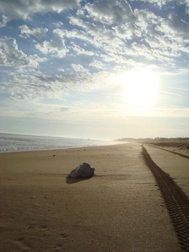 Traces by Gilles Dalbis