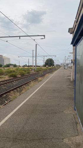 Traces by Gilles Dalbis