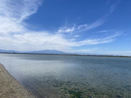 Traces by Gilles Dalbis