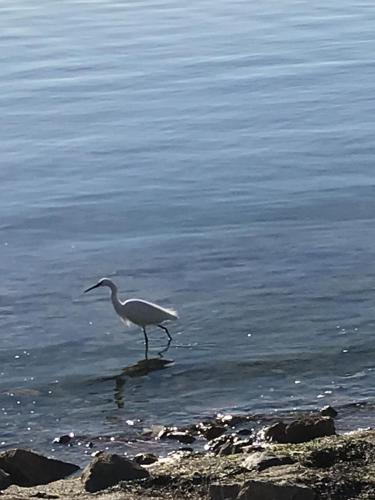 Traces by Gilles Dalbis