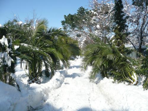 Traces by Gilles Dalbis