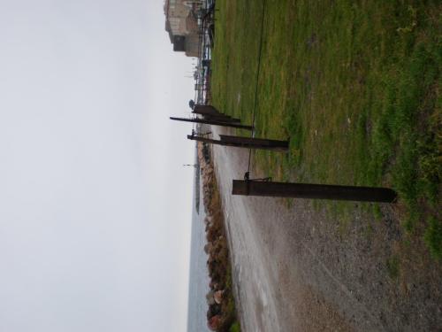 Traces by Gilles Dalbis