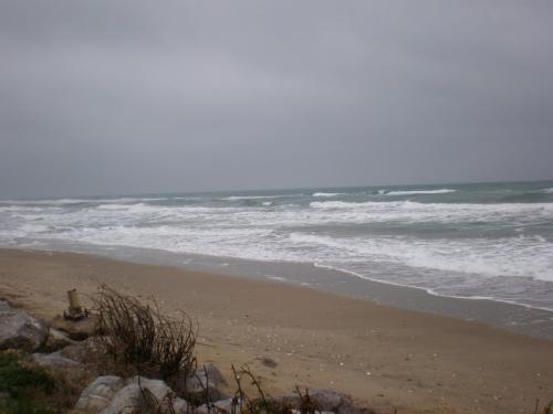 Traces by Gilles Dalbis