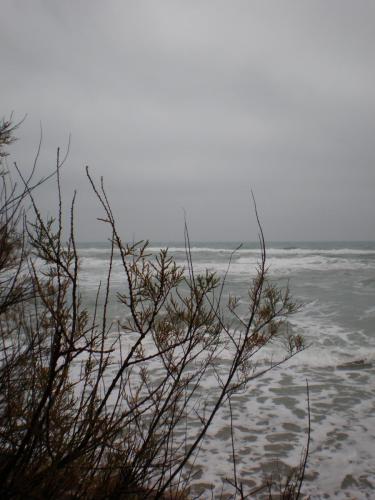 Traces by Gilles Dalbis