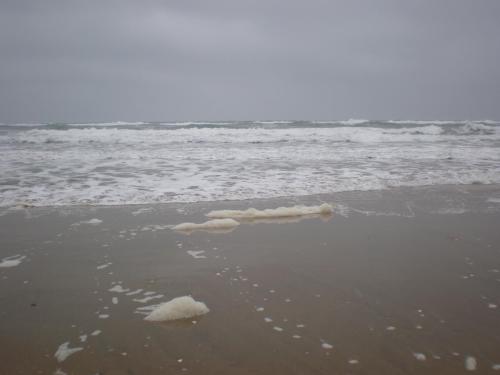 Traces by Gilles Dalbis