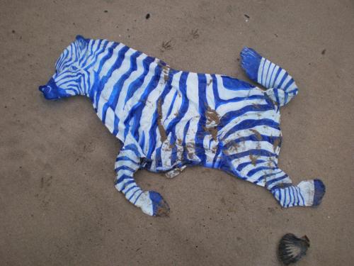 Traces by Gilles Dalbis