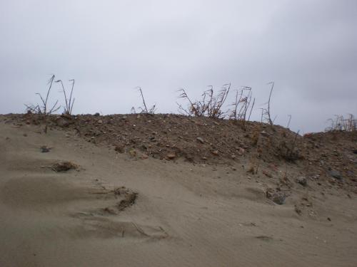 Traces by Gilles Dalbis