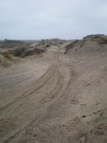 Traces by Gilles Dalbis