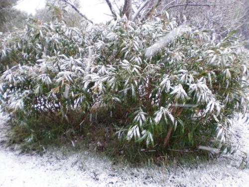 Traces by Gilles Dalbis