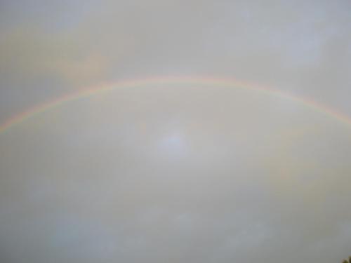 Traces by Gilles Dalbis