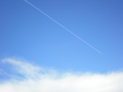 Traces by Gilles Dalbis