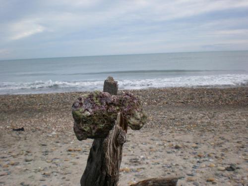 Traces by Gilles Dalbis