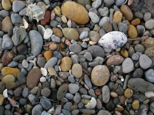 Traces by Gilles Dalbis