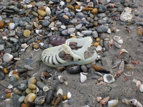 Traces by Gilles Dalbis