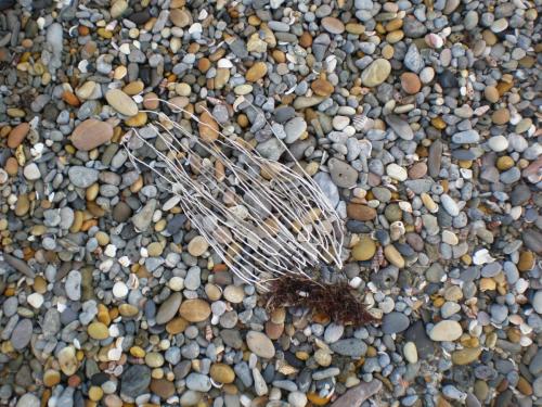 Traces by Gilles Dalbis