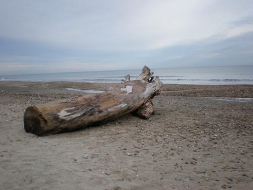 Traces by Gilles Dalbis