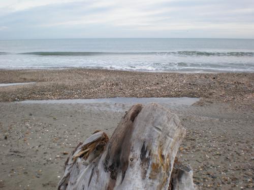 Traces by Gilles Dalbis