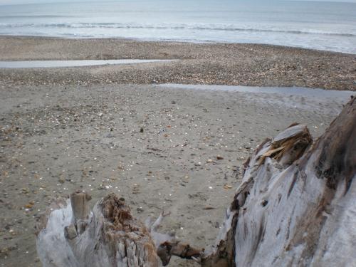 Traces by Gilles Dalbis