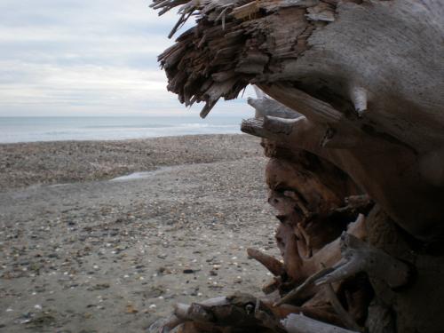 Traces by Gilles DalbisA