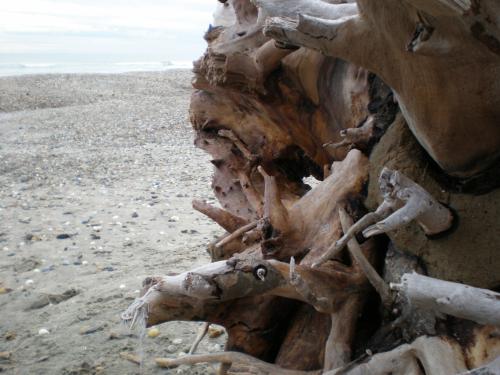 Traces by Gilles Dalbis