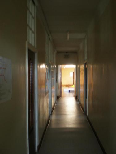 Traces by Gilles Dalbis