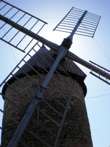 Traces by Gilles Dalbis