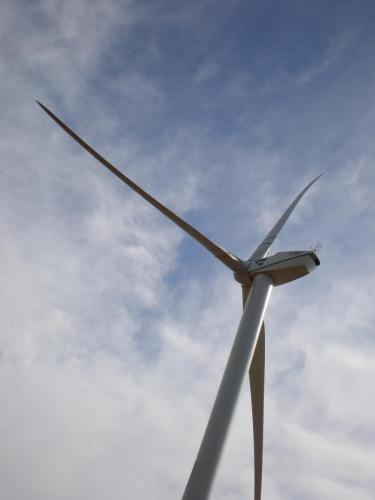 Traces by Gilles Dalbis