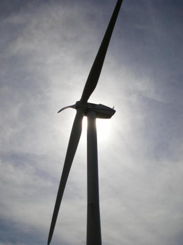 Traces by Gilles Dalbis