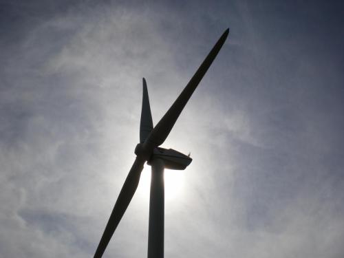 Traces by Gilles Dalbis