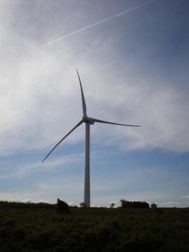 Traces by Gilles Dalbis