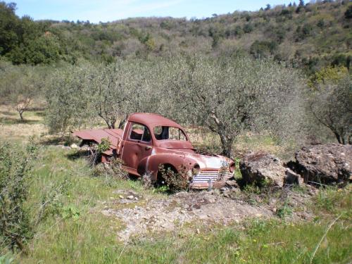 Traces by Gilles Dalbis