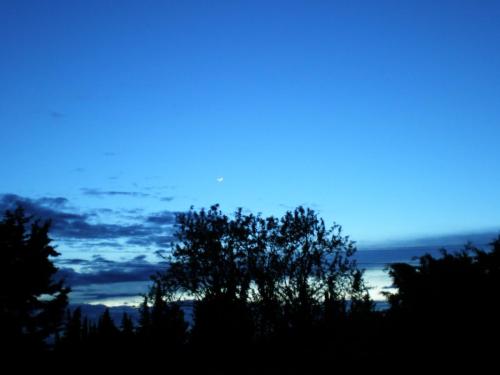 Traces by Gilles Dalbis