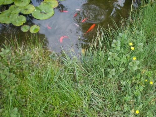 Traces By Gilles Dalbis