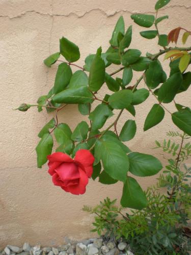 Traces by Gilles Dalbis