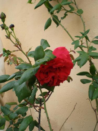 Traces by Gilles Dalbis