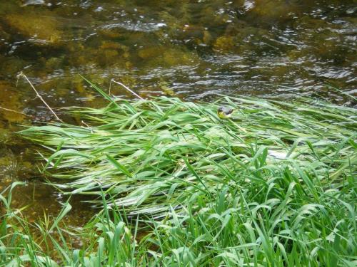 Traces By Gilles Dalbis