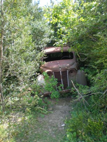 Traces by Gilles Dalbis