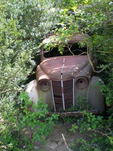 Traces by Gilles Dalbis