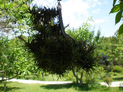 Traces by Gilles Dalbis