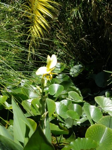 Traces by Gilles Dalbis