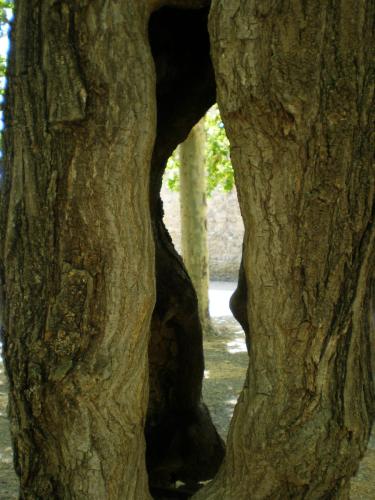 Traces by Gilles Dalbis