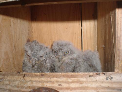 Traces By Gilles Dalbis